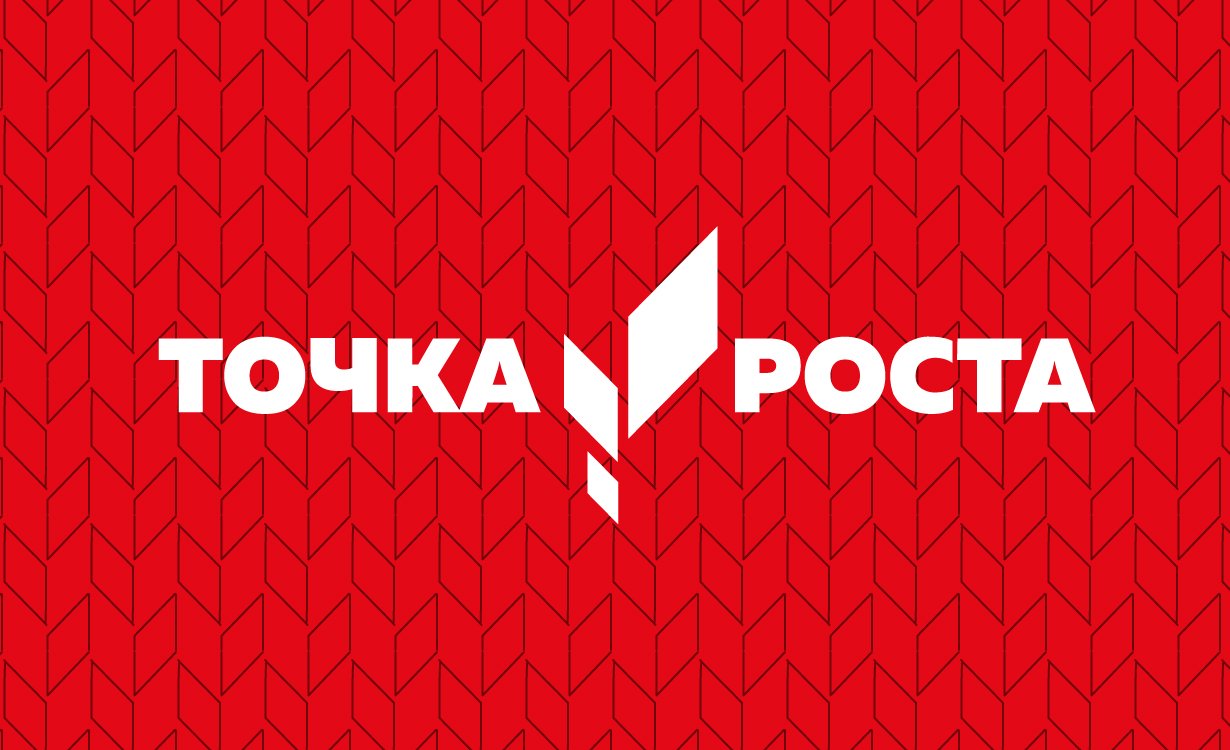 В лицее идет работа с проектами.